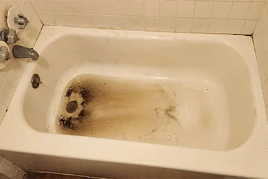 Bathtub Backing Up