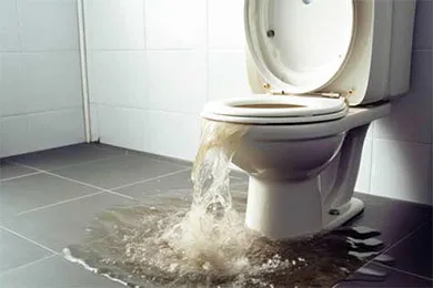 Toilet Overflowing